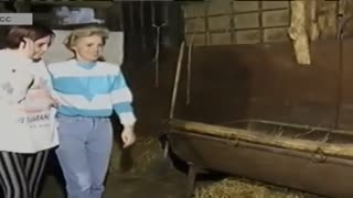 Aloqli buzoq oriq turkman ayolining soqolini ohista yalaydi